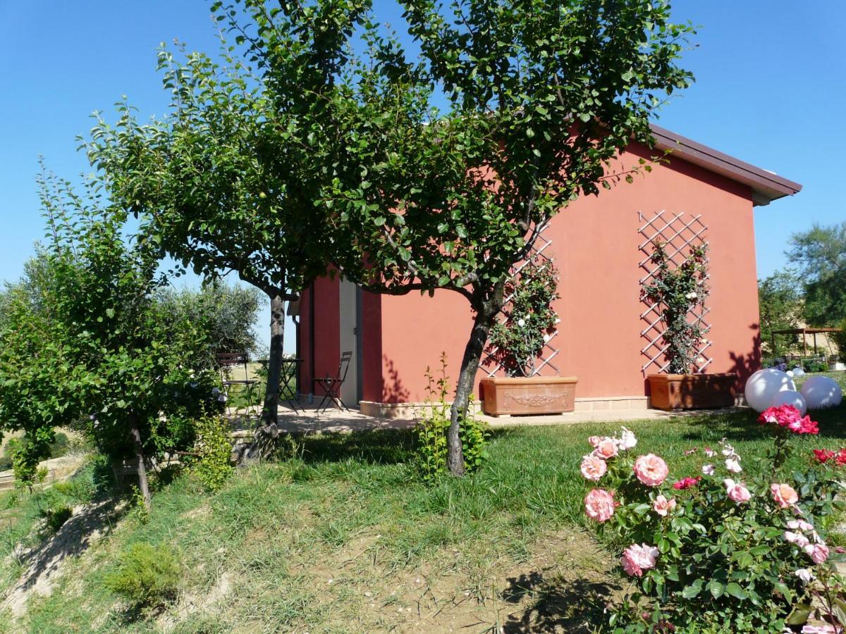 Maison d'hôtes L'Antigo Granaro à Agugliano Extérieur photo