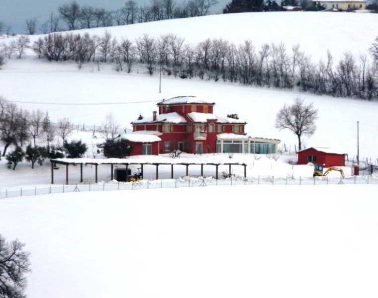 Maison d'hôtes L'Antigo Granaro à Agugliano Extérieur photo